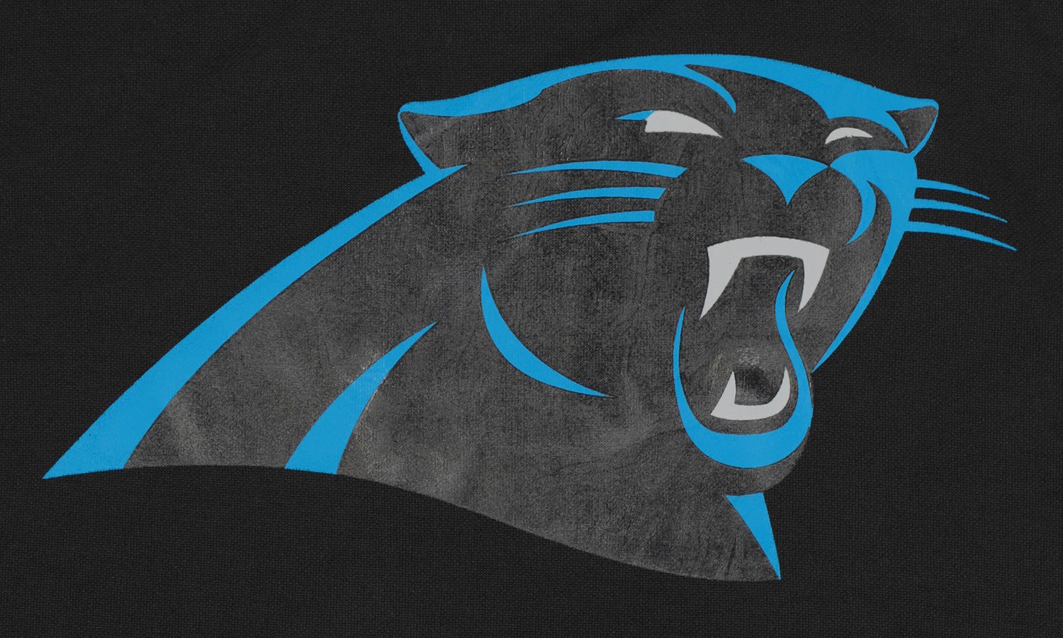 Hot Deal! Zubaz Men's NFL Elevated Logo Viper Hoodie - Carolina Panthers